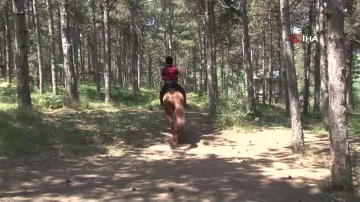 Maltepe'de orman yangınlarına karşı hem havadan hem karadan denetim