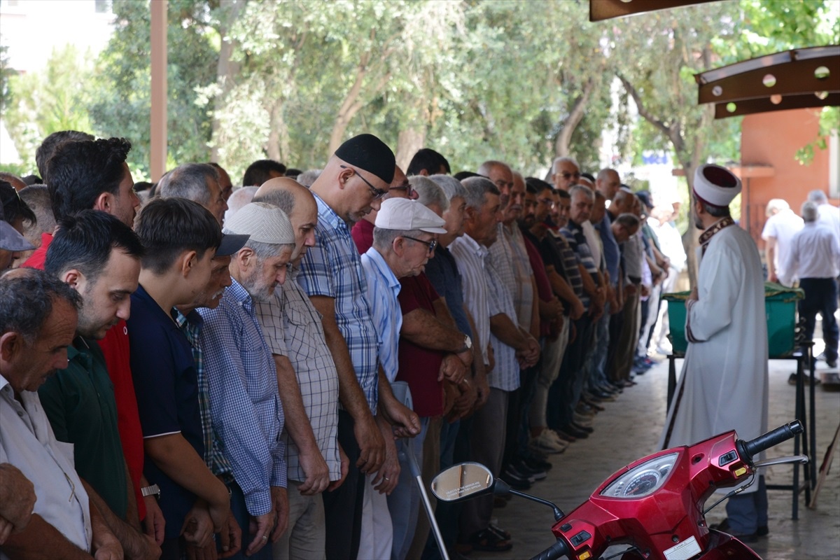 Manisa\'da Arı Sokması Sonucu Bal Üreticisi Hayatını Kaybetti