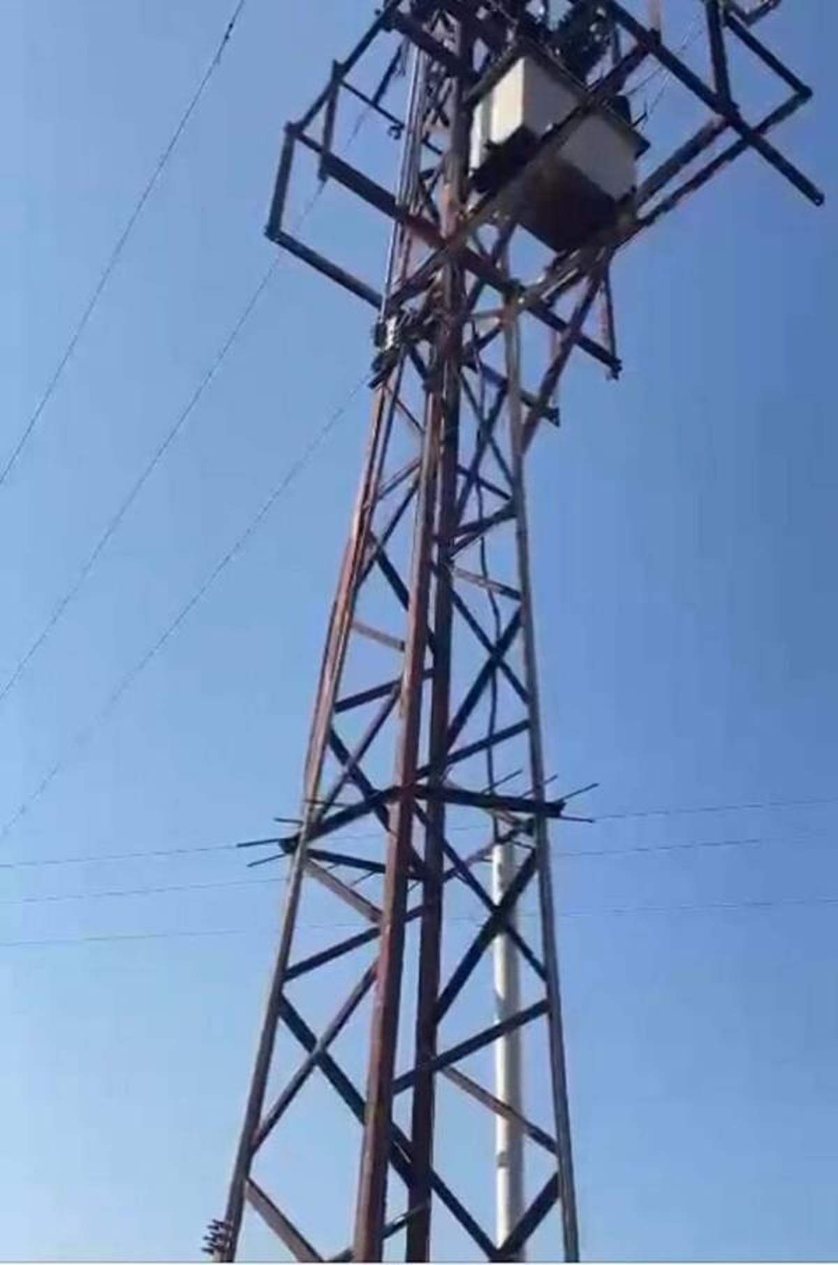 Milas\'taki orman yangınında 170 hektar alan yandı, Nefes 72 sorti yaptı (2)