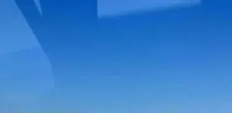 Muğla'da Orman Yangını Çıktı