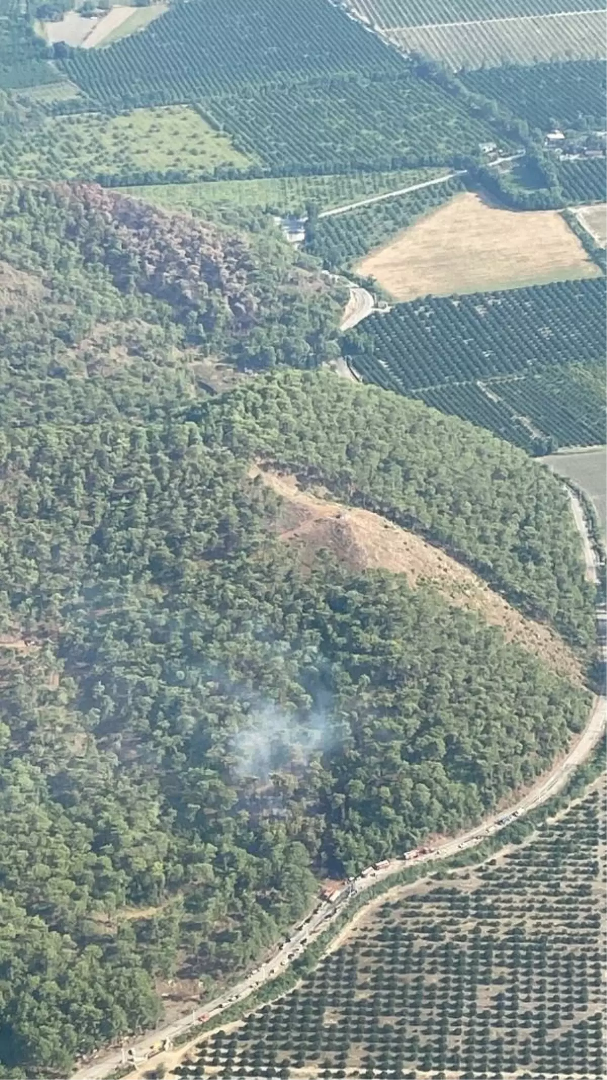 Muğla'da Kızılçam Ormanında Çıkan Yangın 1 Saatte Kontrol Altına Alındı