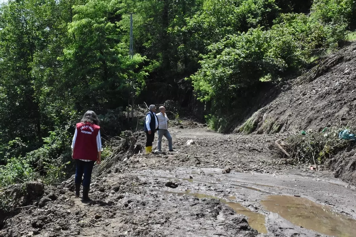 Ordu\'da Sağanak Sonucu Oluşan Heyelanlardan Etkilenen Fındık Bahçeleri İçin Hasar Tespit Çalışması Başlatıldı