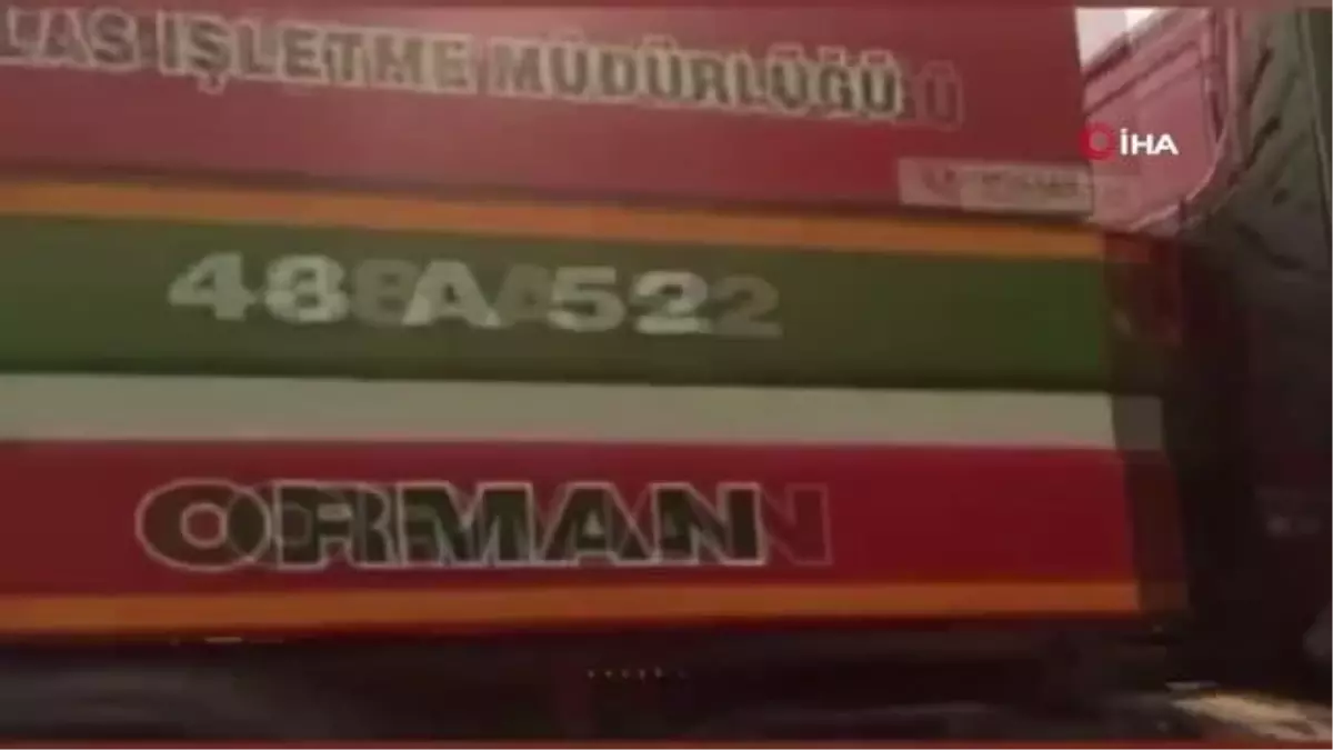 Muğla Milas'taki orman yangını kontrol altına alındı