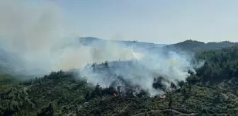 Balıkesir Dursunbey'de Orman Yangını
