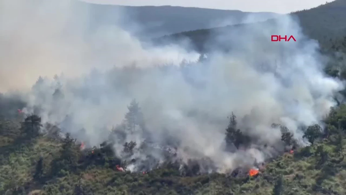 Balıkesir Dursunbey\'de Orman Yangını: Havadan ve Karadan Müdahale Ediliyor