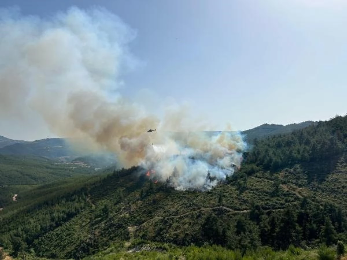 Balıkesir\'de orman yangını (2)