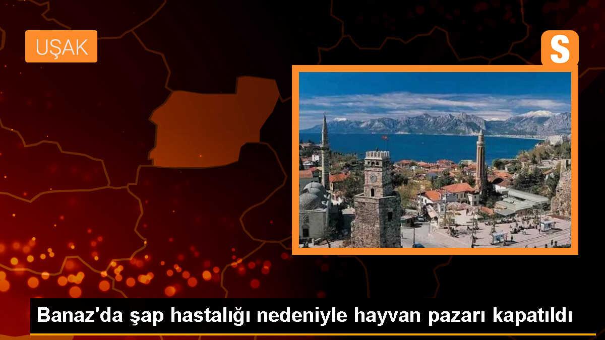 Uşak\'ın Banaz ilçesinde hayvan pazarı şap hastalığı nedeniyle kapatıldı