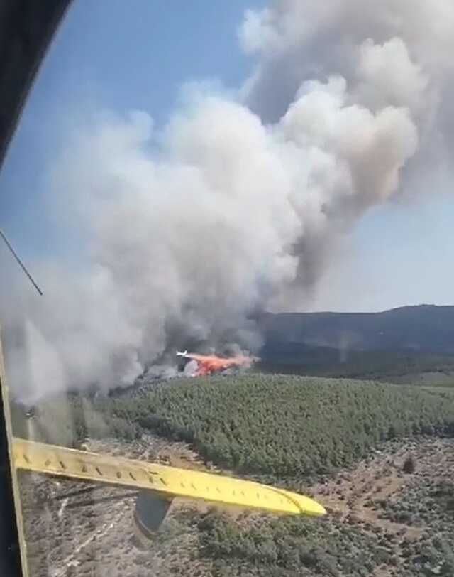 Bodrum'da orman yangını! Havadan ve karadan müdahale ediliyor Bodrum'da orman yangını! Havadan ve karadan müdahale ediliyor