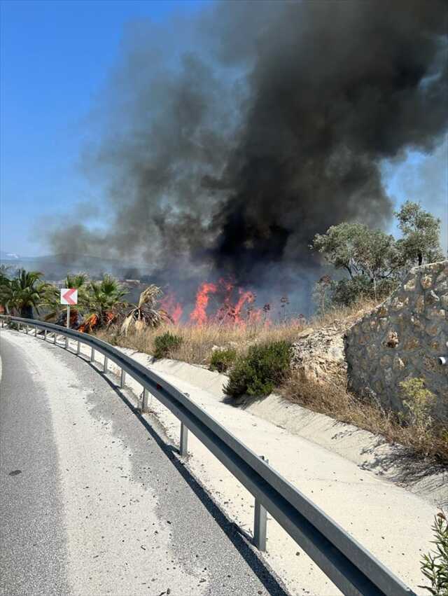 Bodrum'da orman yangını! Havadan ve karadan müdahale ediliyor Bodrum'da orman yangını! Havadan ve karadan müdahale ediliyor