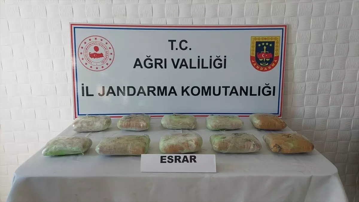 Doğubayazıt\'ta bir tırda 10 kilo 580 gram uyuşturucu ele geçirildi