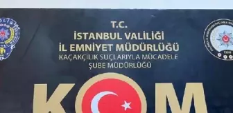 İstanbul'da Tarihi Eser Kaçakçılarına Operasyon: 5 Kişi Yakalandı