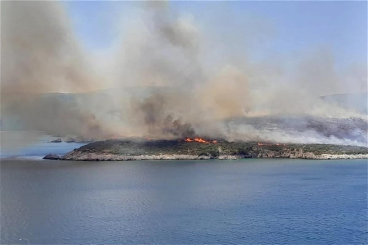 İzmir Urla\'da çıkan yangına havadan ve karadan müdahale başlatıldı