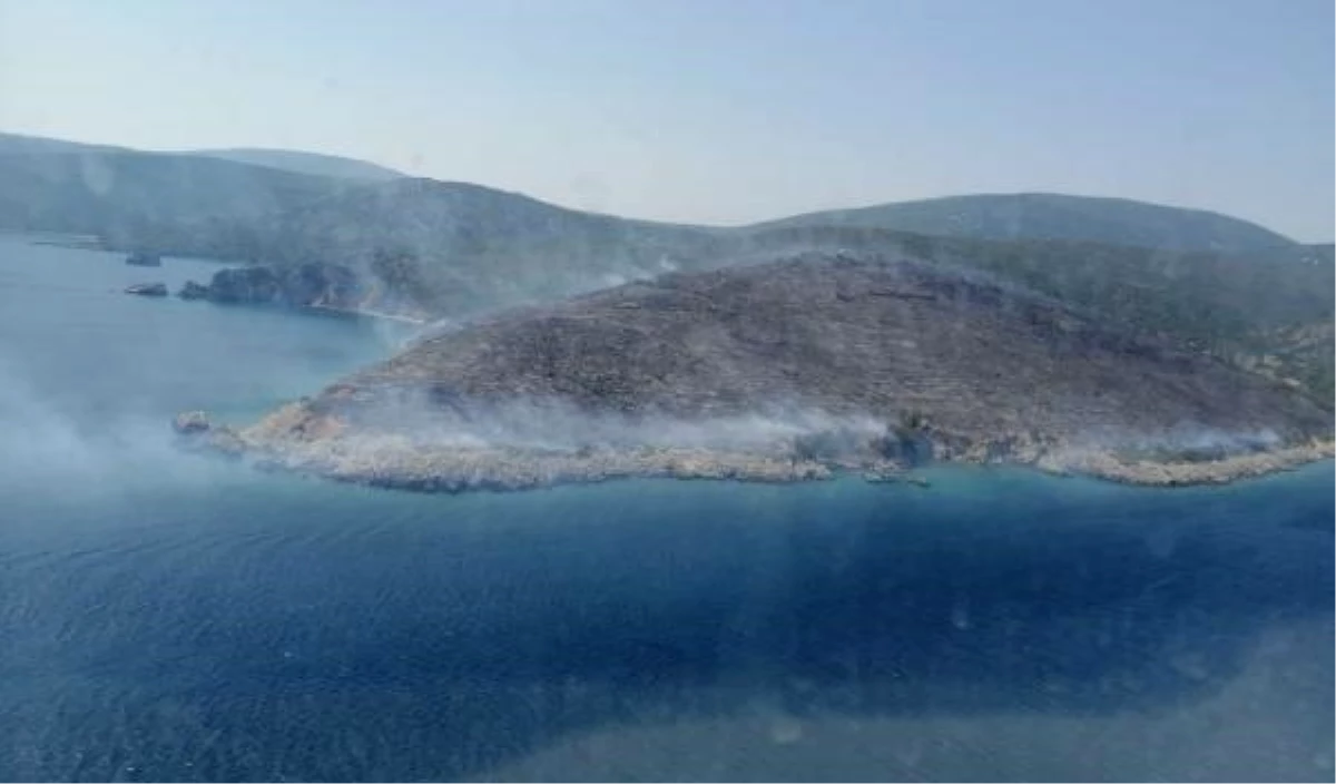 İzmir\'de makilik yangını (2)