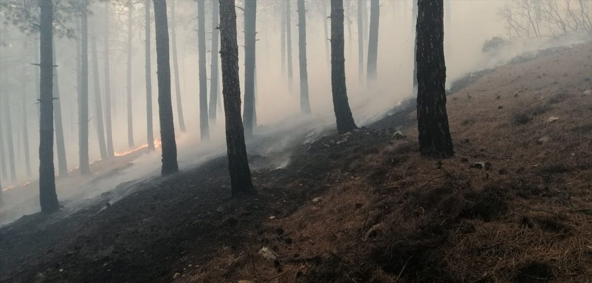 Kahramanmaraş\'ta Orman Yangınına Müdahale Ediliyor