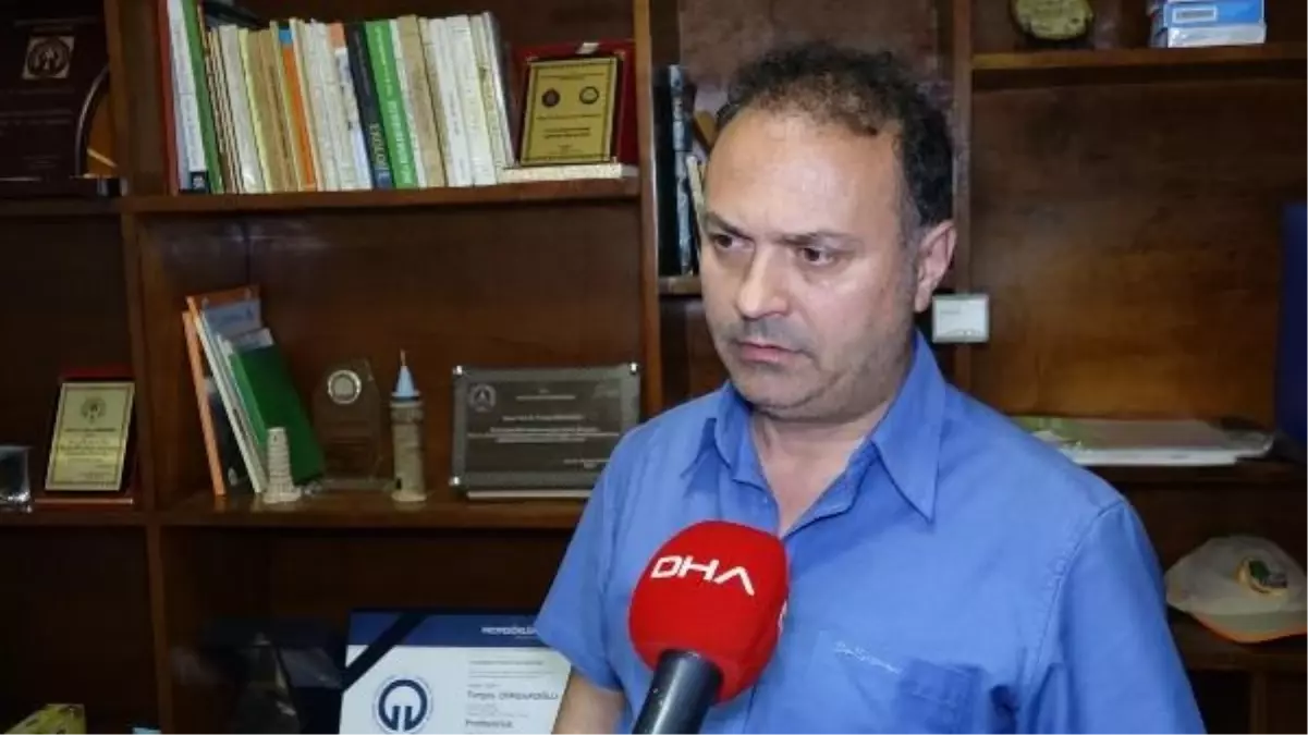 Karadeniz Bölgesi'nde Yağışlar Kuraklık Tehlikesini Azalttı