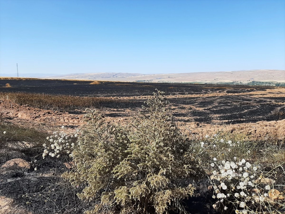 Kayseri\'nin Sarıoğlan ilçesinde 450 dönüm tahıl ekili alan yandı