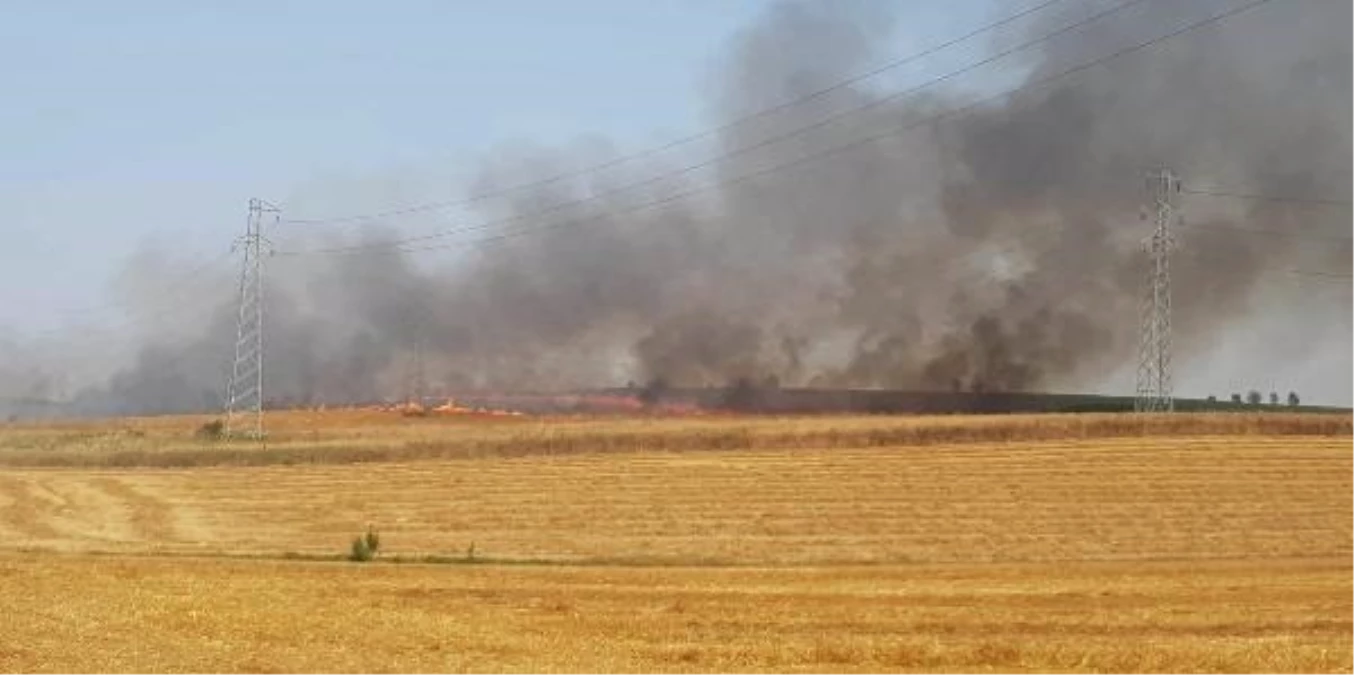 Tekirdağ\'da Yangında 40 Dönüm Buğday Ekili Tarla Yandı