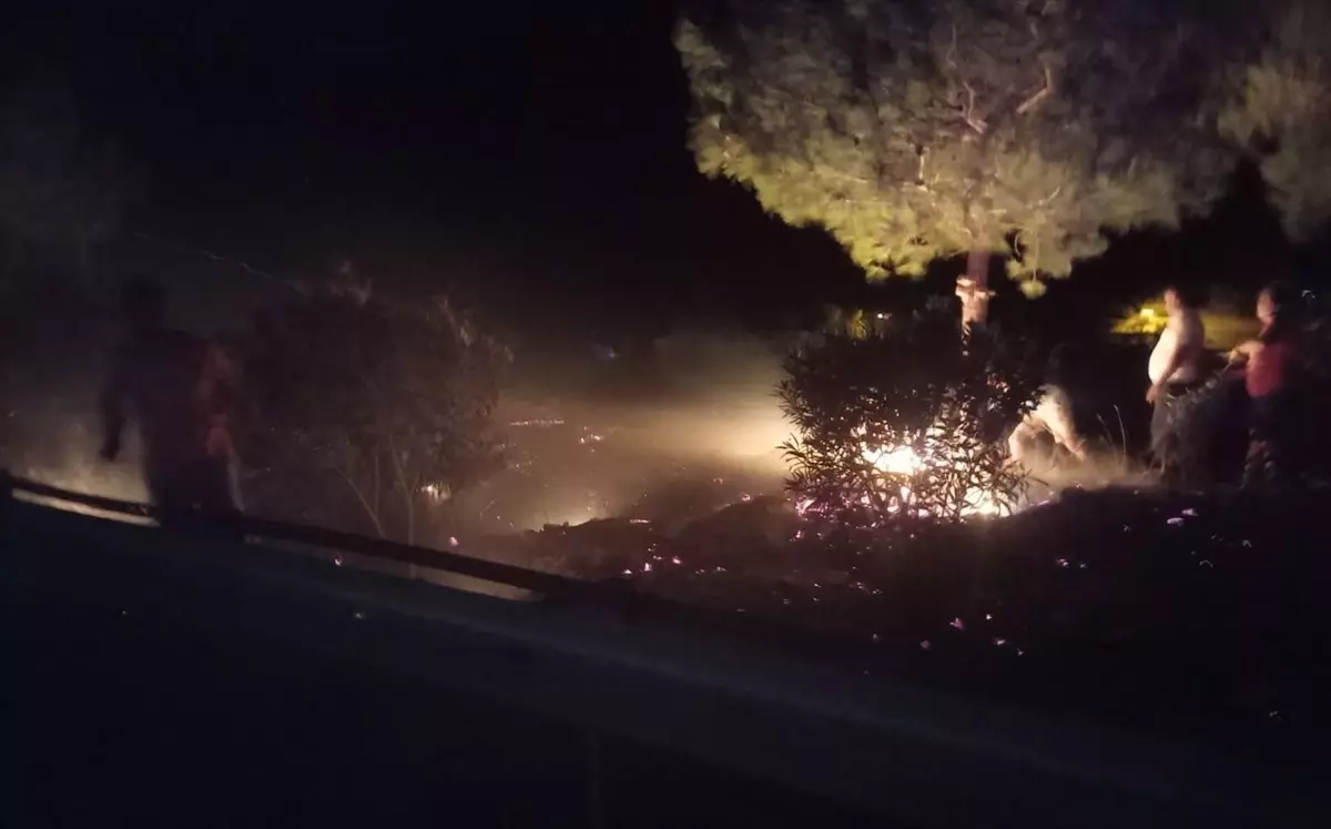 Mersin'deki Orman Yangını Kontrol Altına Alındı