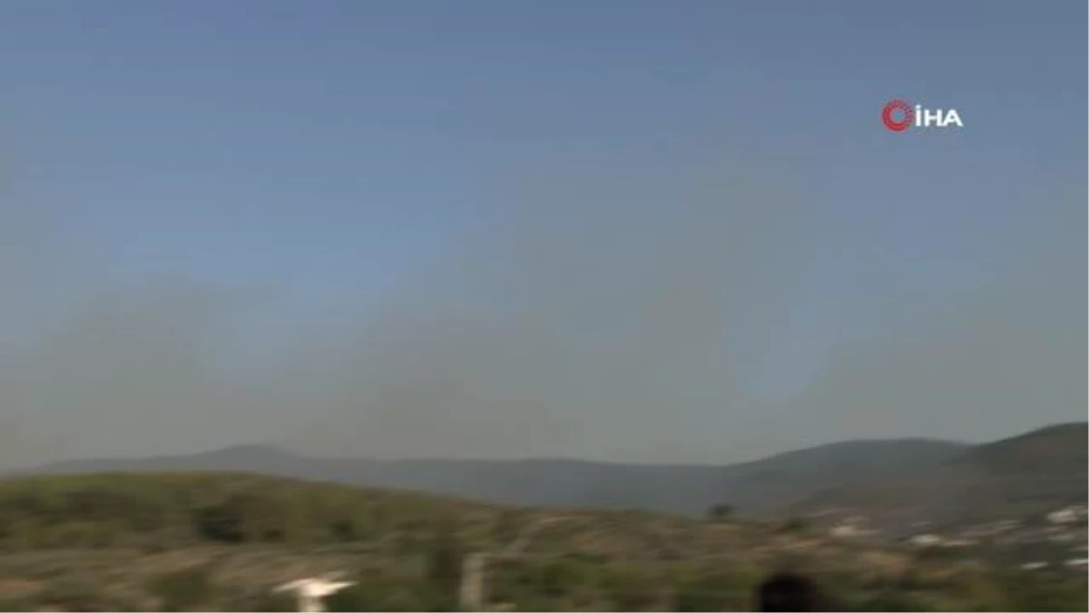 Milas-Bodrum Havalimanı Kavşağındaki Orman Yangını Kontrol Altında