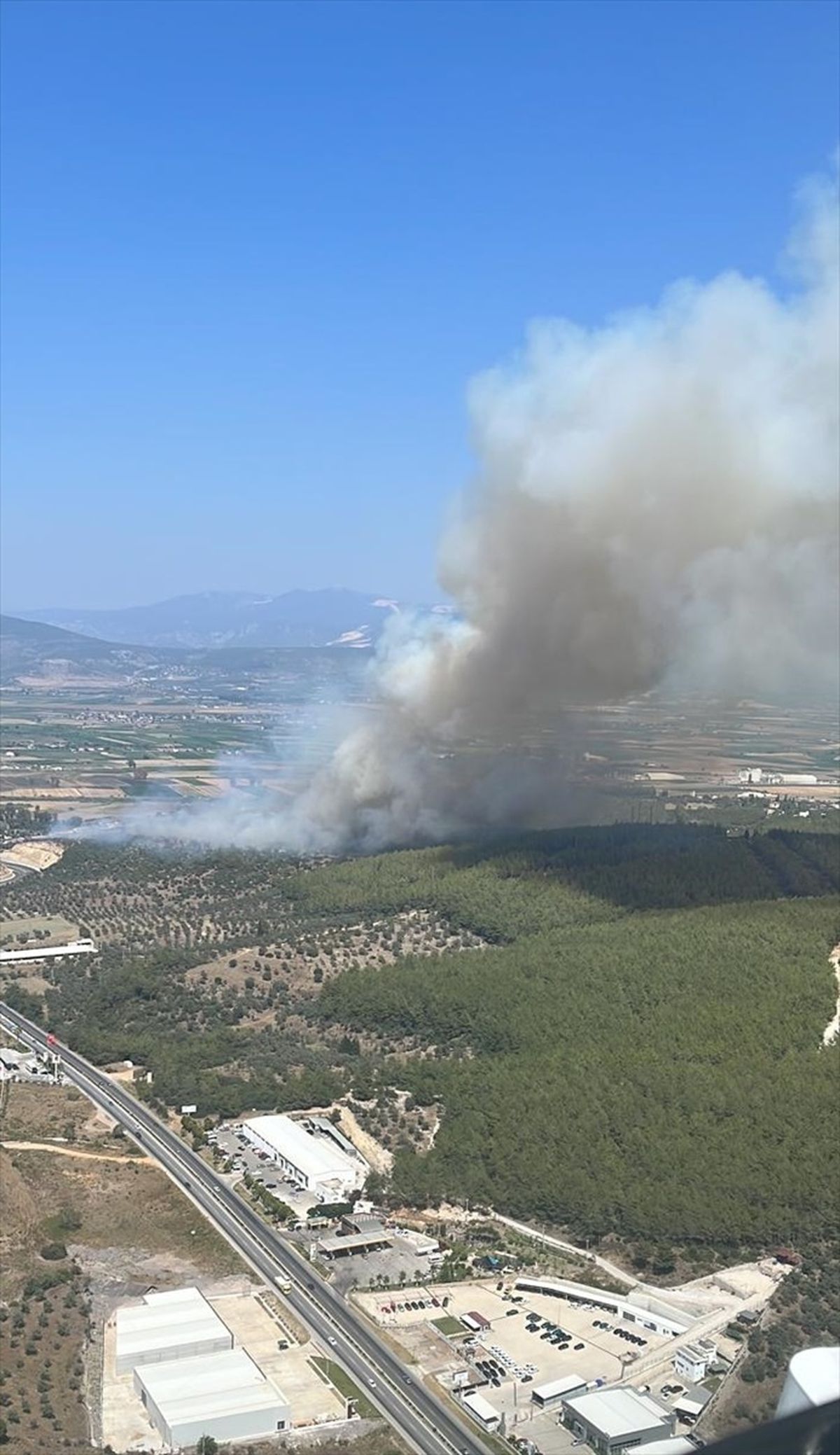 Milas-Bodrum Havalimanı yakınlarında orman yangını çıktı