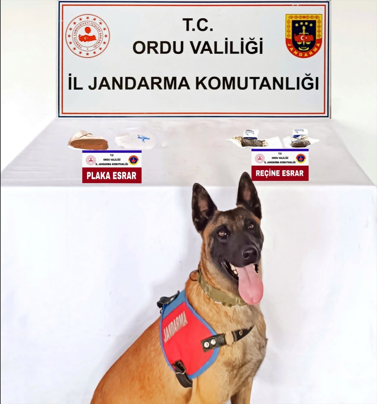 Ünye\'de uyuşturucu operasyonunda bir şüpheli tutuklandı