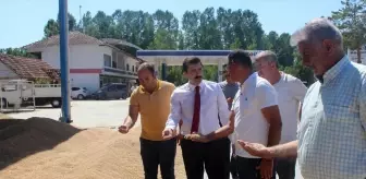 Tokat'ın Pazar ilçesinde buğday ve arpa hasadı başladı