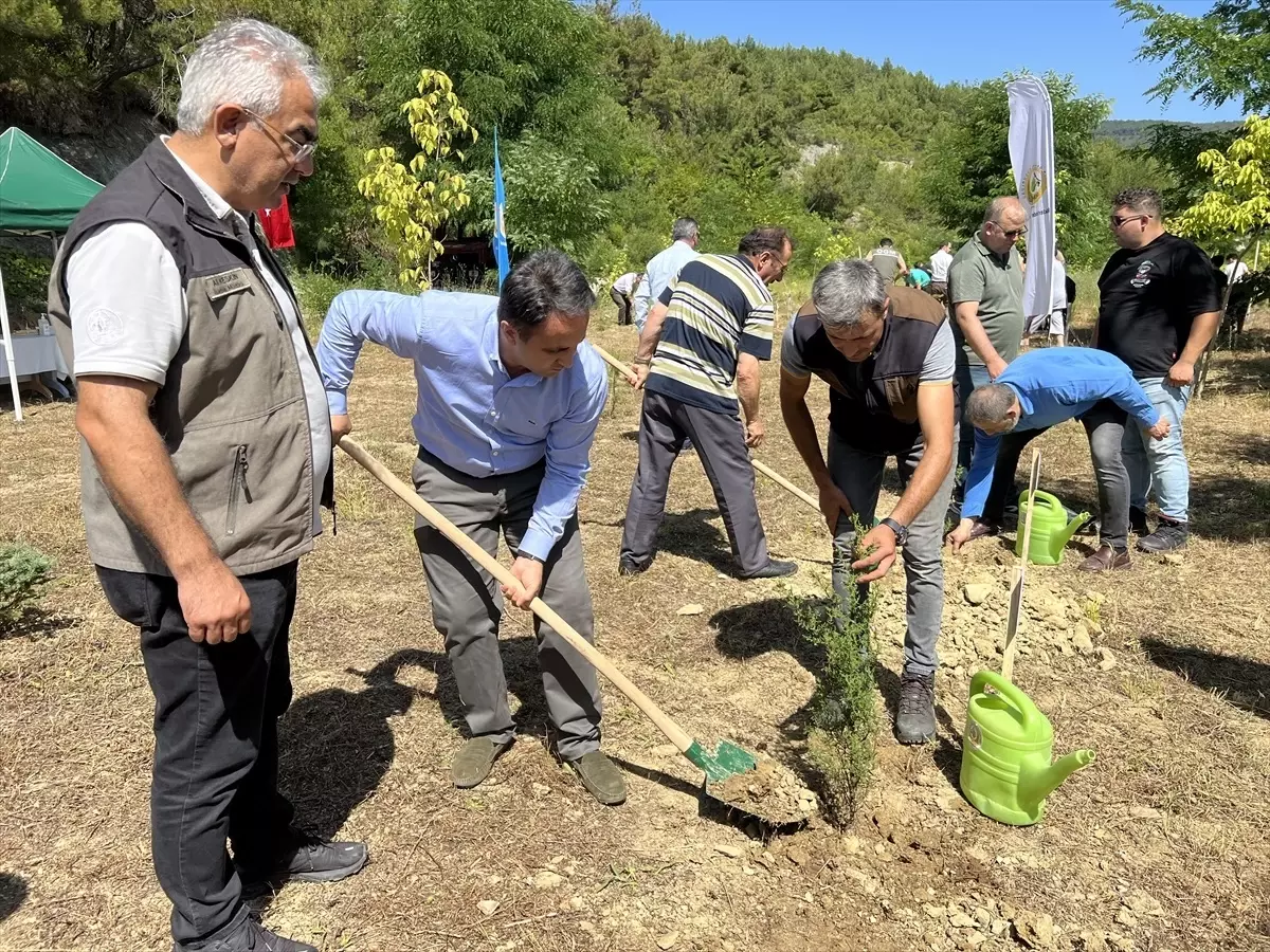 Sinop\'ta 15 Temmuz şehitleri anısına fidan dikimi gerçekleştirildi