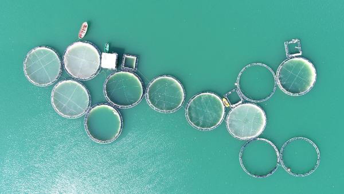 Van'da Zernek Baraj Gölü'nde Kuraklık Alarmı