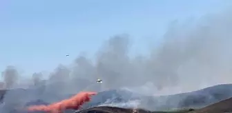 Avşa Adası'nda çıkan yangın kontrol altına alındı