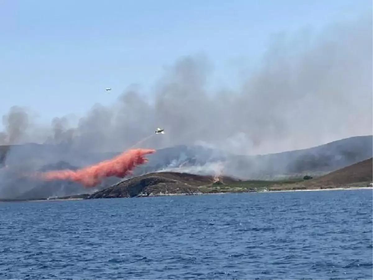 Avşa Adası\'nda çıkan yangın kontrol altına alındı