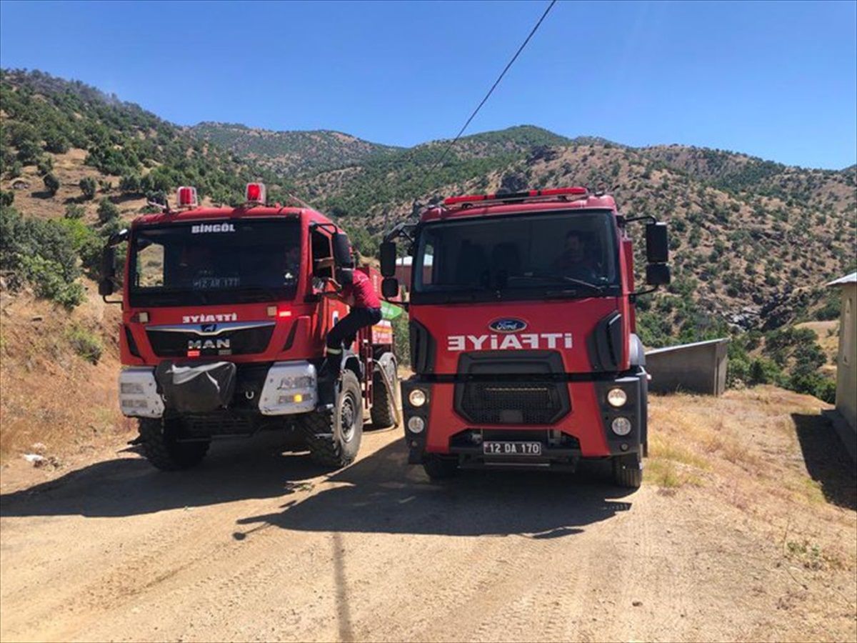 Bingöl\'ün Genç ilçesinde çıkan orman yangını büyümeden söndürüldü