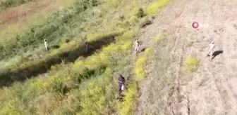 Eskişehir'de kaybolan yaşlı adam ölü bulundu