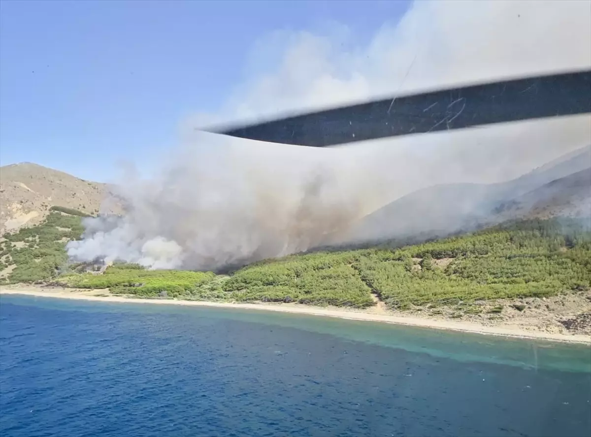 Gökçeada\'da Orman Yangını Kontrol Altına Alınmaya Çalışılıyor