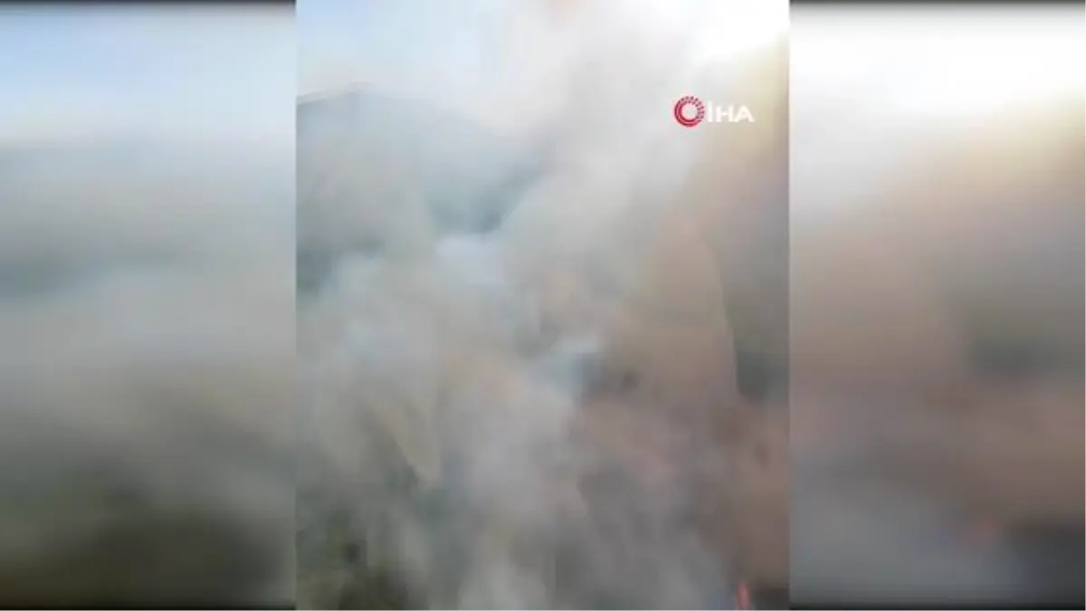 Gökçeada\'da Orman Yangını