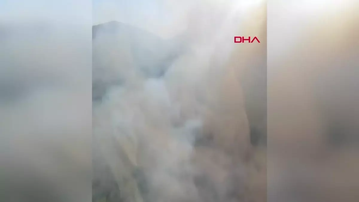 Gökçeada\'da Orman Yangını: Havadan ve Karadan Müdahale Devam Ediyor
