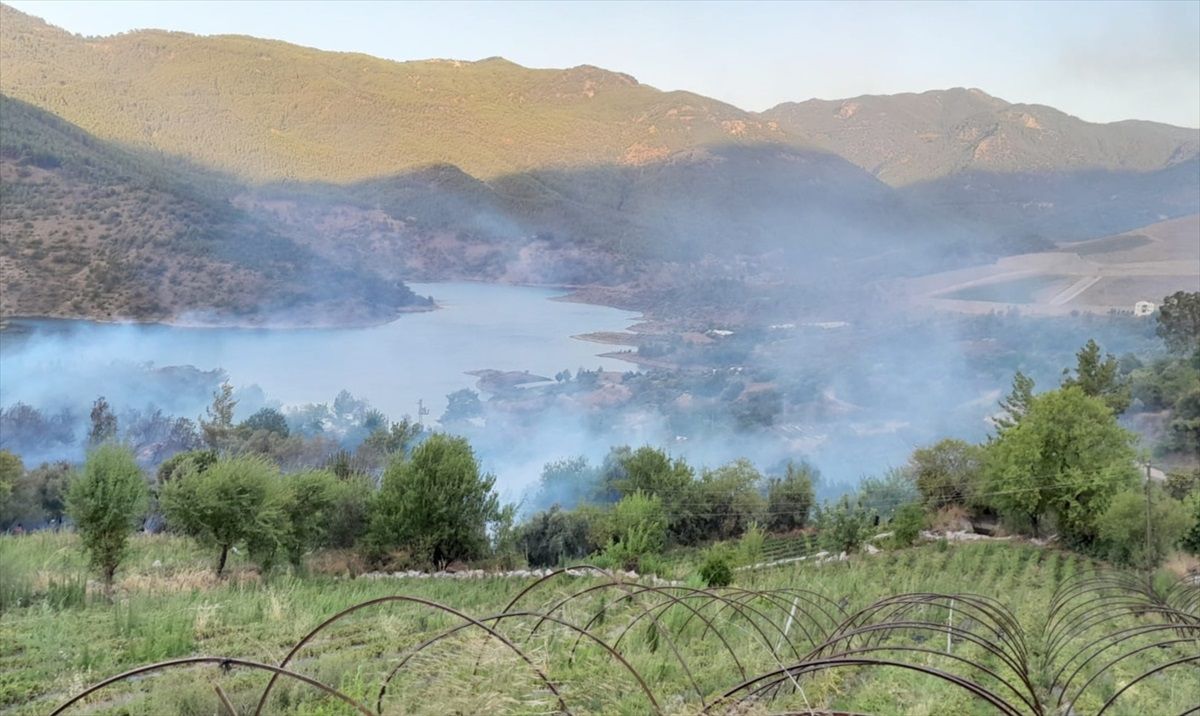 Mersin\'de tarım arazisinde çıkan yangın kontrol altına alındı