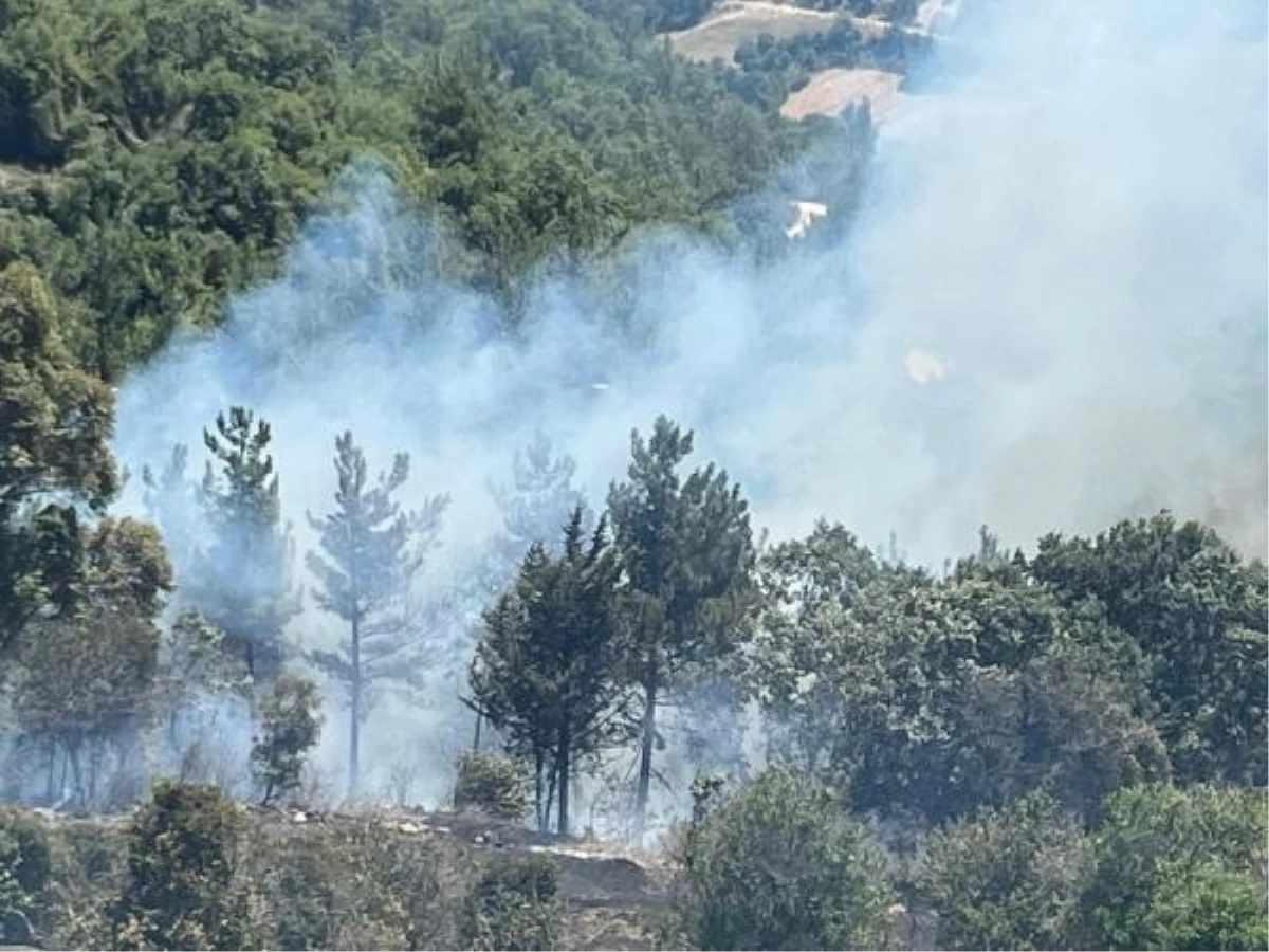 Osmaniye\'de Gaffarlı köyünde orman yangını çıktı