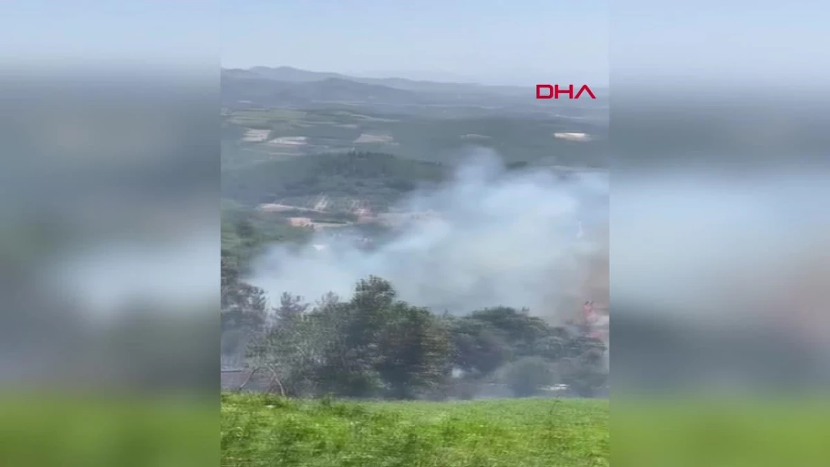 Osmaniye Sumbas\'ta Orman Yangını: Havadan ve Karadan Müdahale Ediliyor