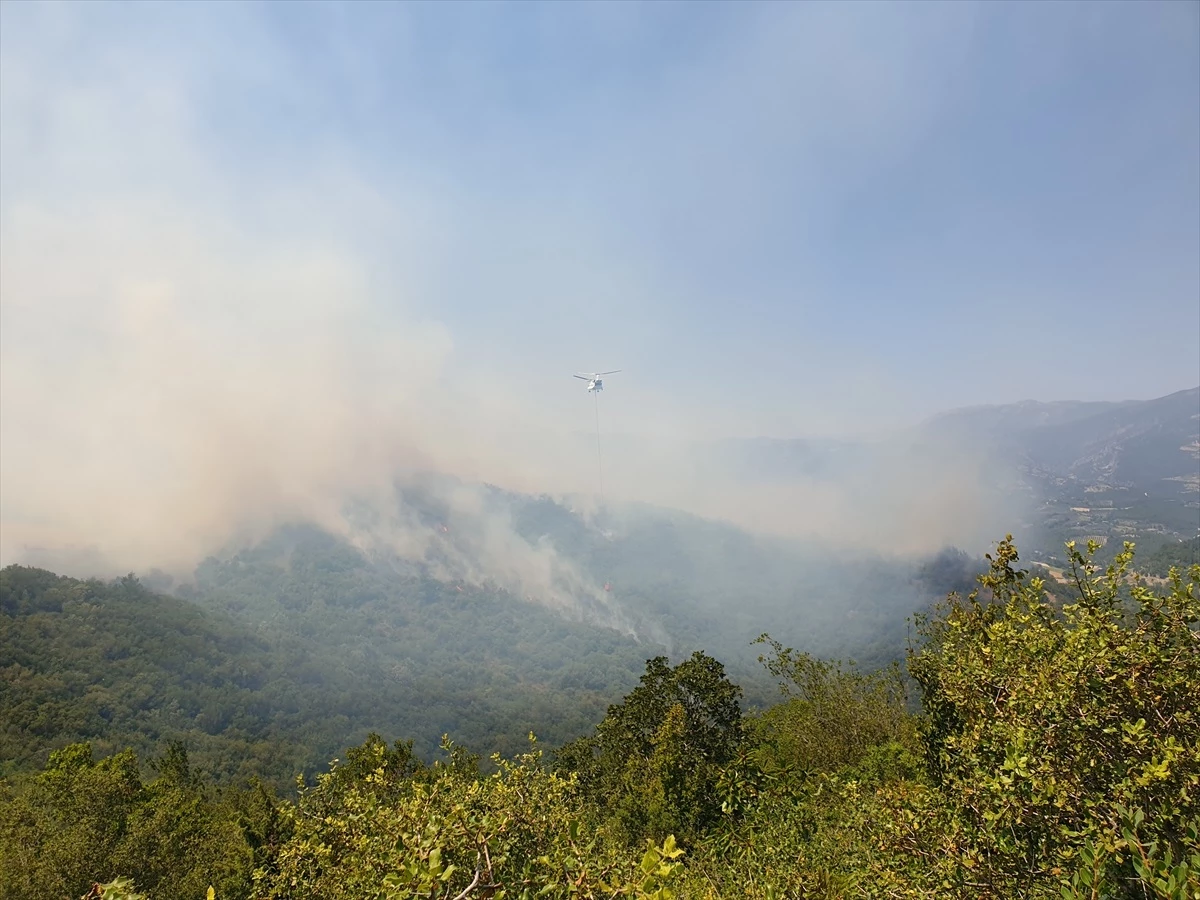 Osmaniye\'de Orman Yangınına Havadan ve Karadan Müdahale Sürüyor