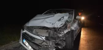 Zile'de otomobil büyükbaşa çarptı: 1 ölü, 3 yaralı