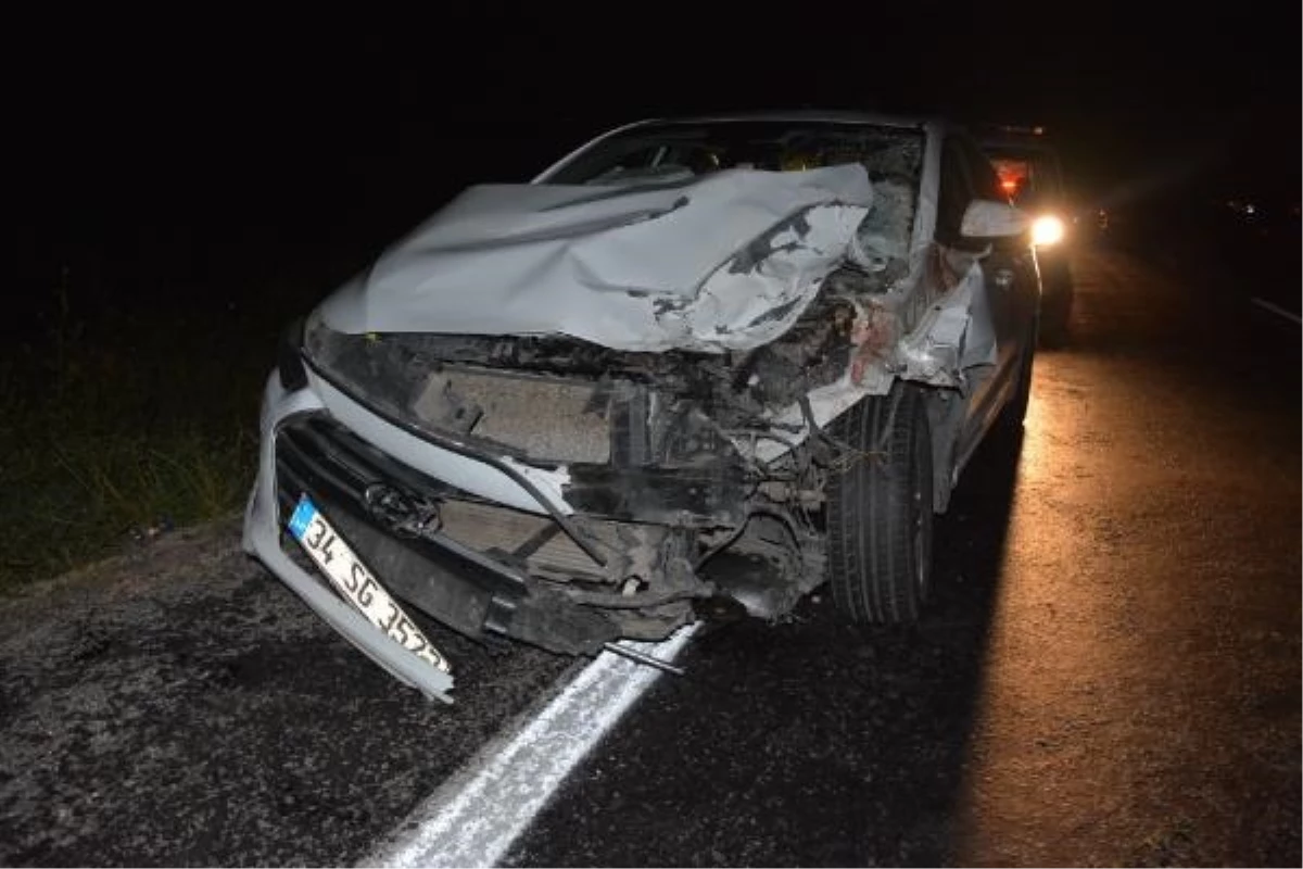 Zile\'de otomobil büyükbaşa çarptı: 1 ölü, 3 yaralı