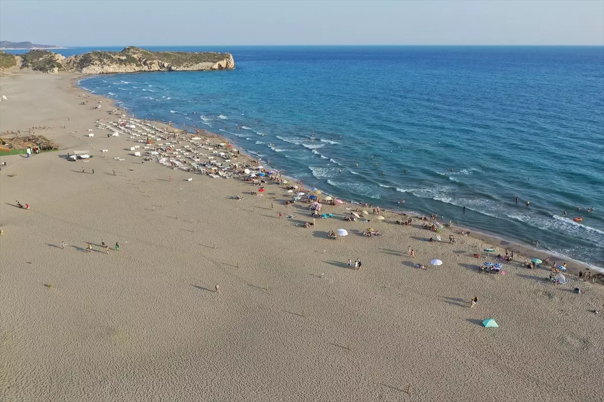 Patara Plajı\'nda 250 caretta caretta yuvası koruma altında