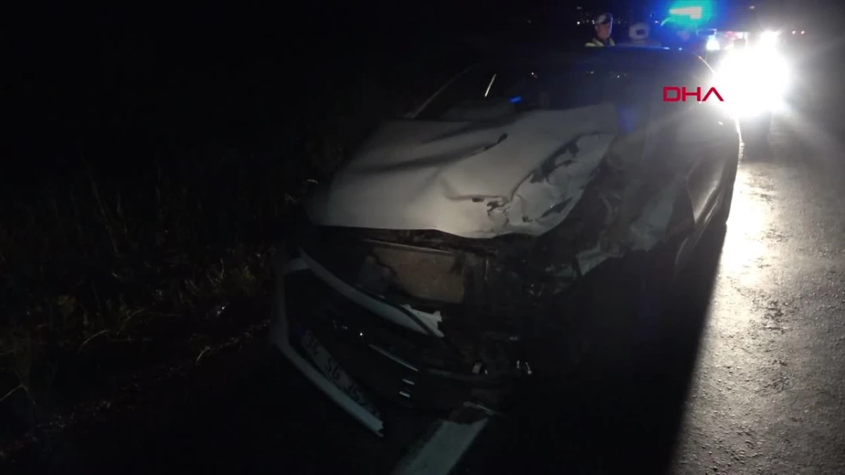 Zile\'de Otomobilin Çarptığı Büyükbaş Hayvan Telef Oldu, 3 Kişi Yaralandı