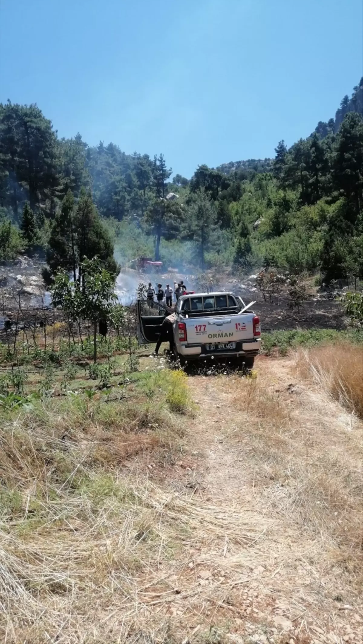 Adana'da çıkan orman yangını söndürüldü