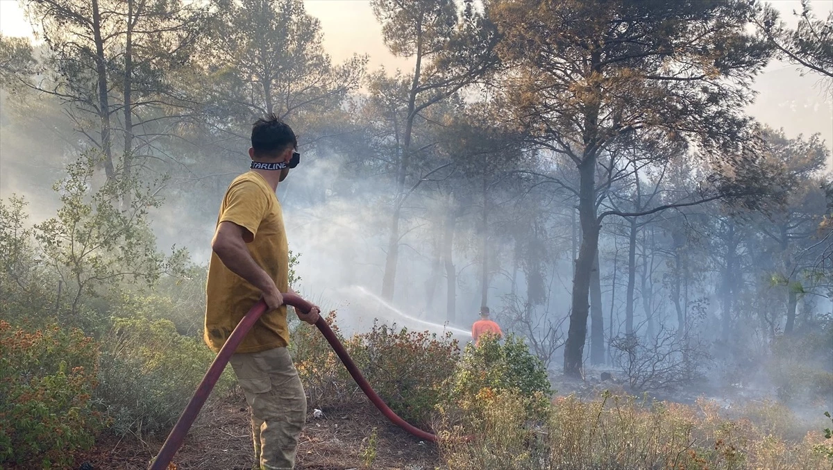 Adana\'da çıkan orman yangınları kontrol altına alındı