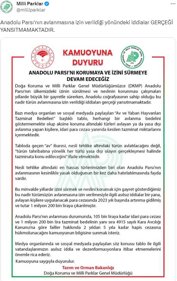Anadolu Parsı'nın avlanmasına izin verildiği iddiası asılsız çıktı