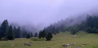 Ardahan'ın yüksek kesimleri sisle kaplandı