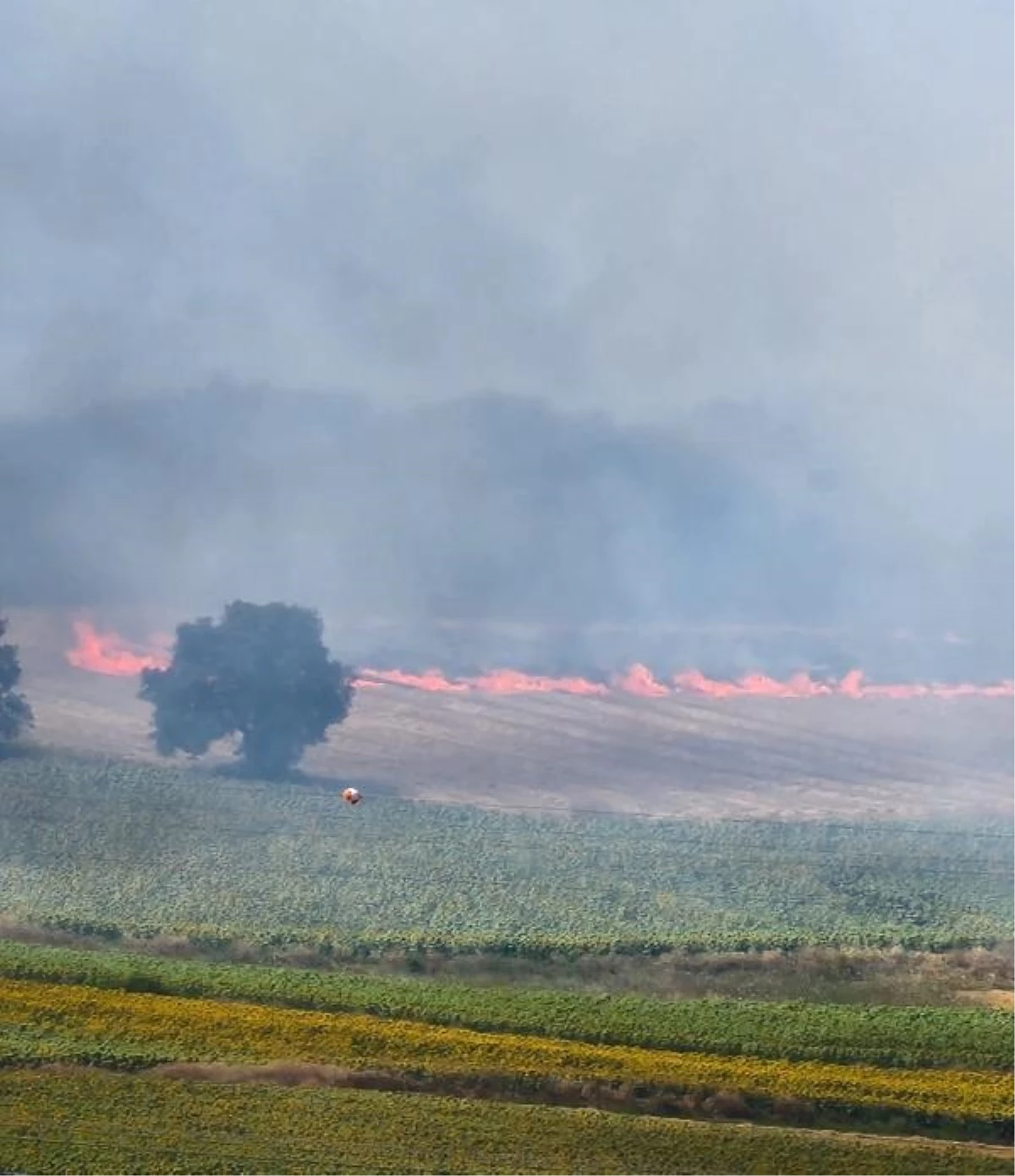 Yenişehir\'de Anız Yangını Kontrol Altına Alındı