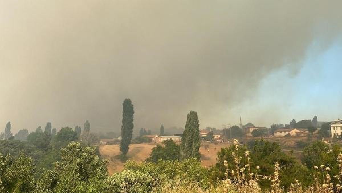 Çanakkale\'de Kızılkeçili köyünde orman yangını çıktı
