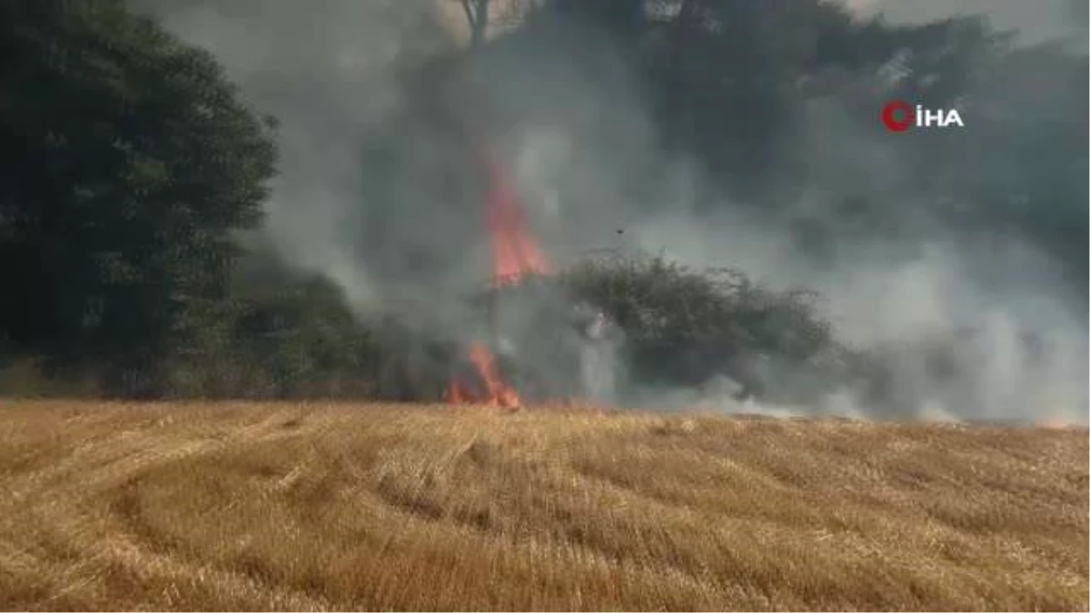 Çanakkale\'de orman yangınına havadan ve karadan müdahale ediliyor